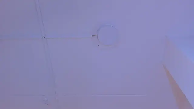 TokyoHaskel webcam