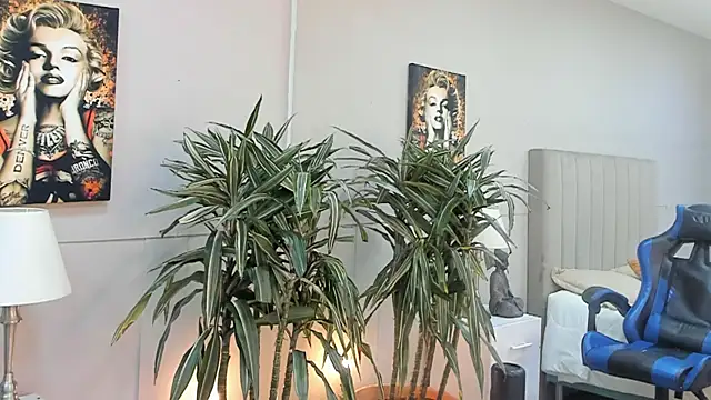 kai_storn webcam