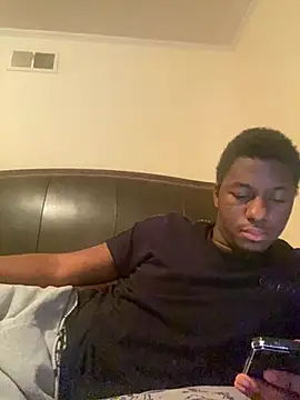ThickDic28 webcam