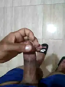 Demillvan webcam