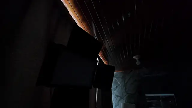 Manson_and_Zoe webcam