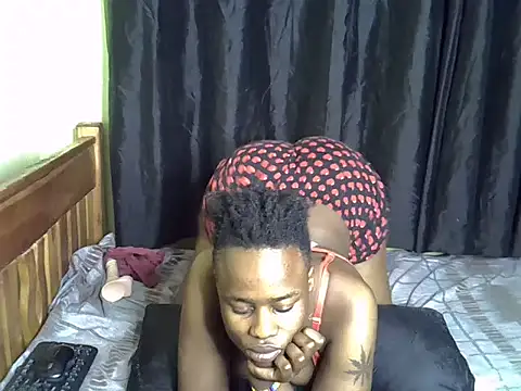 Afriqkuin webcam