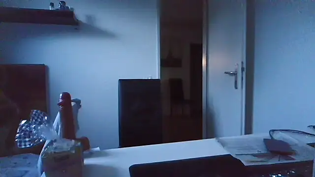 alpha-hunk webcam