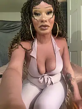 Riasvenenoo webcam