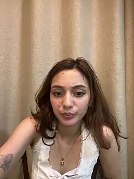 Lilywant webcam
