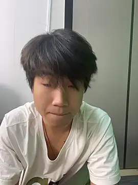 Dw456 webcam