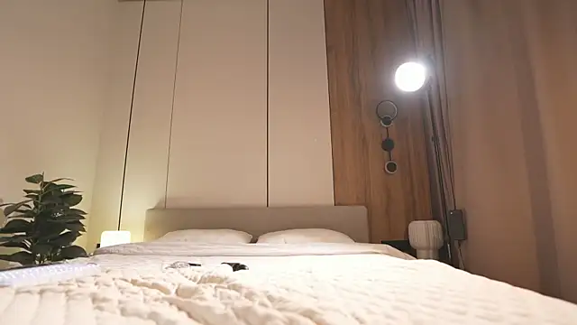 Noctivelle webcam
