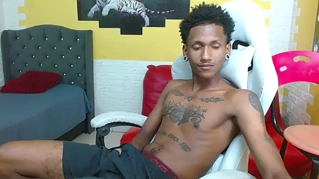 ManSant webcam