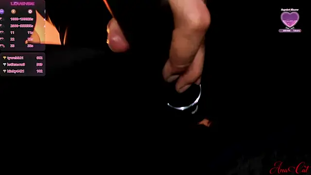 ana_cat webcam