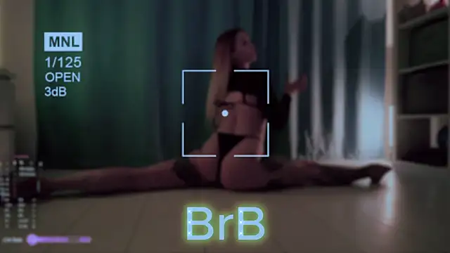 AskAlexa webcam