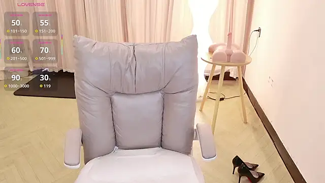 BoxedGyre- webcam