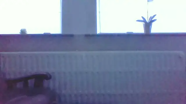 bertolini webcam