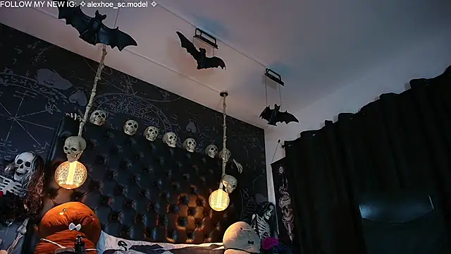 AlexHoe_ webcam