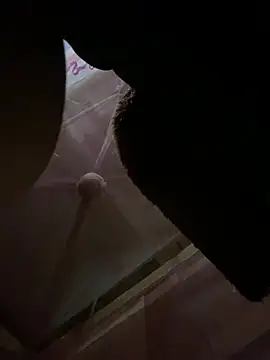 Nul_chal webcam