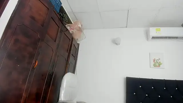 barbie_ds webcam