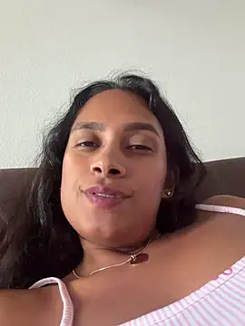 LunaHeat webcam