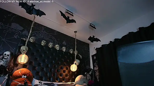 AlexHoe_ webcam
