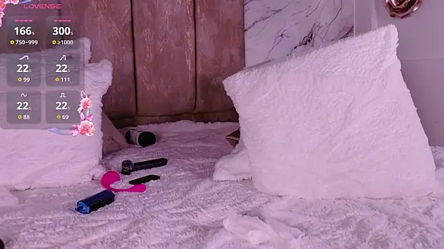 ValeriaGallardo_Pv webcam