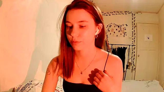 PollyStix webcam