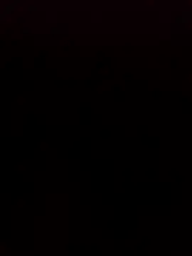 Rafa190pc webcam