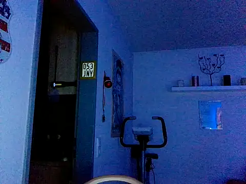 pimmelmann3 webcam
