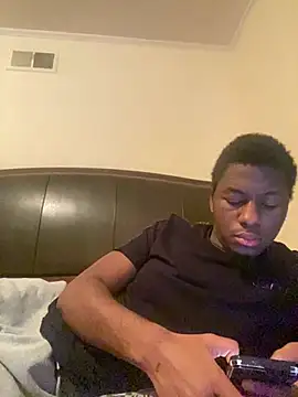 ThickDic28 webcam