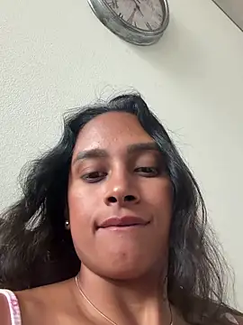 LunaHeat webcam
