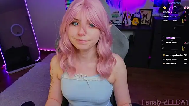 zelda_1 webcam
