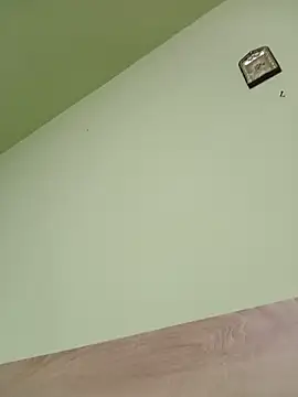 Mariofls webcam