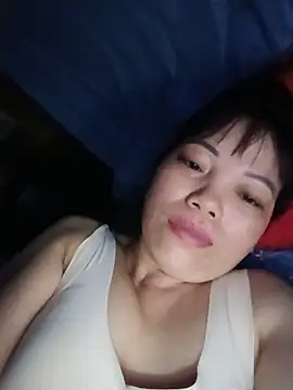 Sana-vn webcam