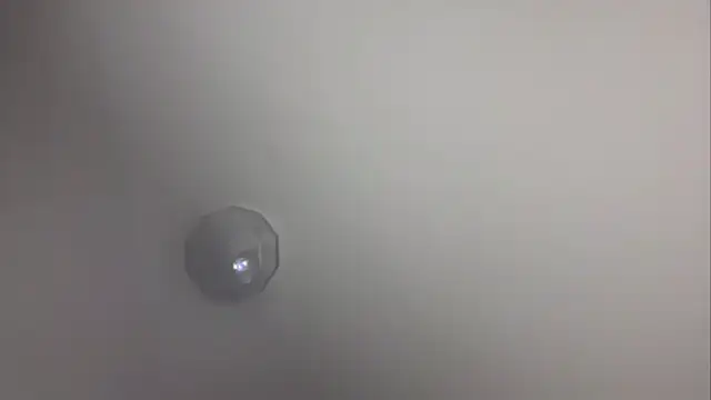 Li_Gong_ webcam