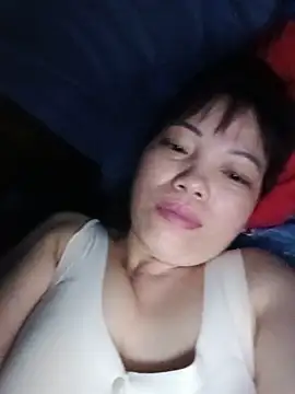 Sana-vn webcam