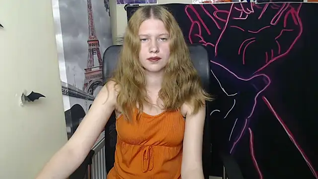 StellaCRL webcam
