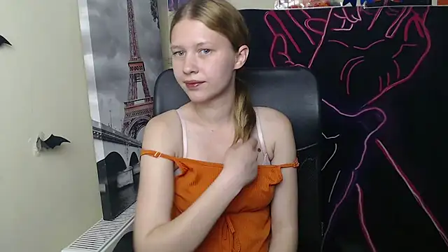 StellaCRL webcam