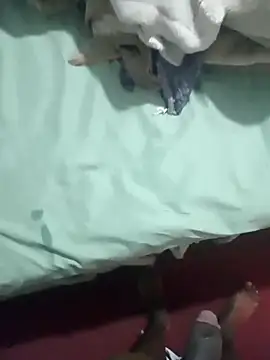Stapura108 webcam