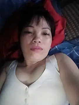 Sana-vn webcam