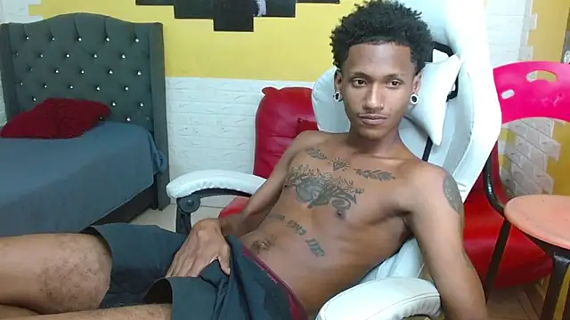 ManSant webcam
