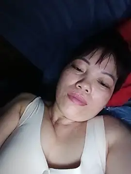 Sana-vn webcam