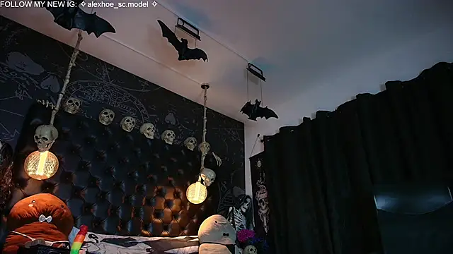 AlexHoe_ webcam