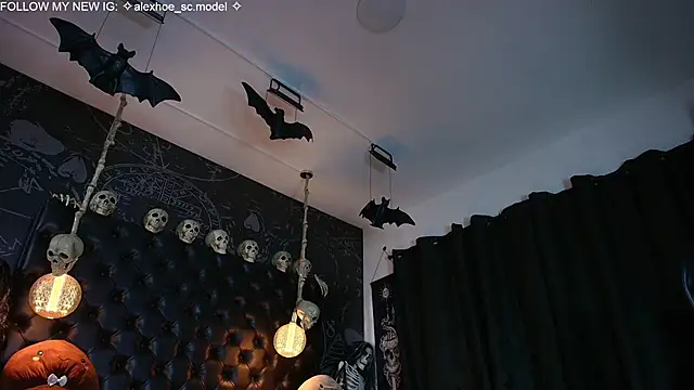 AlexHoe_ webcam
