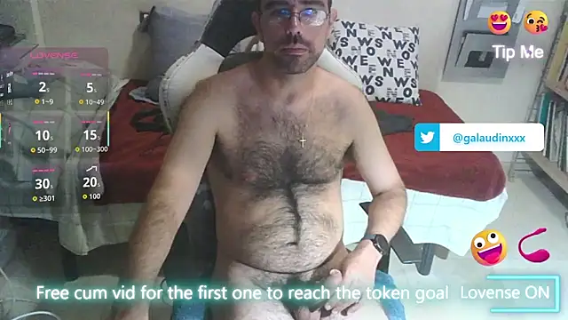 galaudin_3x_ webcam