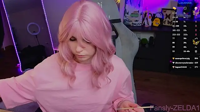 zelda_1 webcam