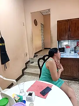 Danelyhit webcam