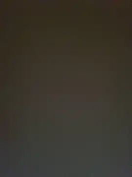 TheDime webcam