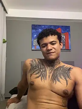 Raphaael2 webcam