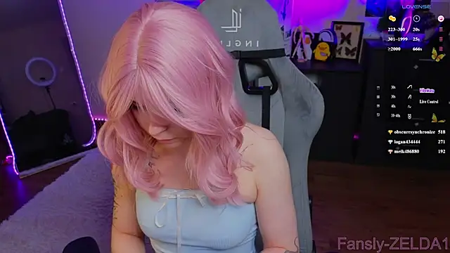 zelda_1 webcam