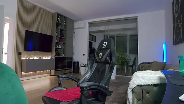 UbbeViking webcam
