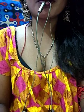 jasss-11 webcam