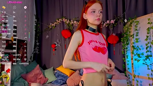 WeiSusi webcam