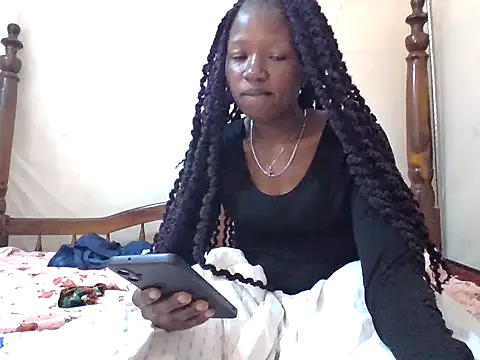 prettix webcam